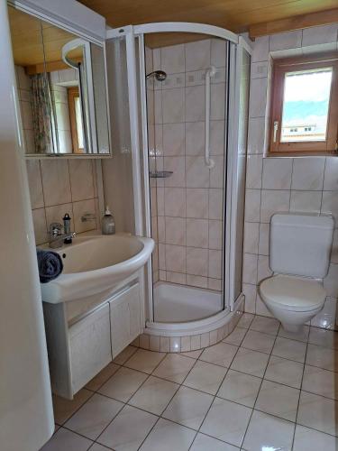 a bathroom with a shower and a sink and a toilet at Familienfreundliches Bregenzerwälderhaus in Au im Bregenzerwald
