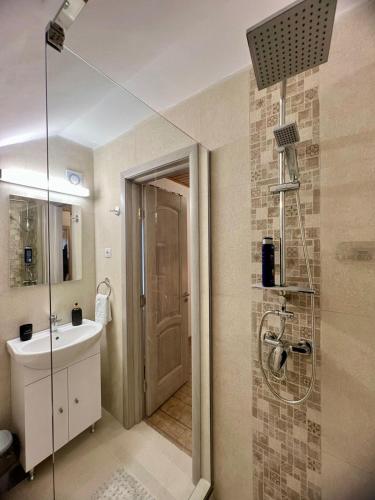 a bathroom with a sink and a glass shower at Casa Iris Mogoșa in Baia-Sprie