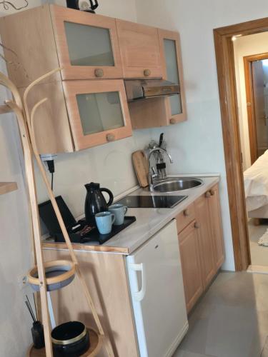 Η κουζίνα ή μικρή κουζίνα στο Apartments iris