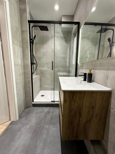une salle de bain avec un lavabo blanc et une douche dans l'établissement Maison de l'Aar Appartement Le Rubis luxueux et cosy neuf, à Strasbourg