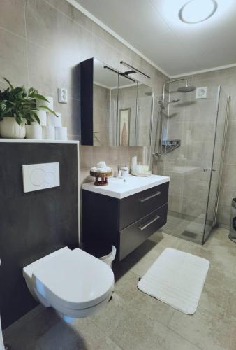 a bathroom with a toilet and a sink and a shower at Banpim apartment with Jacusszi in Gravdal