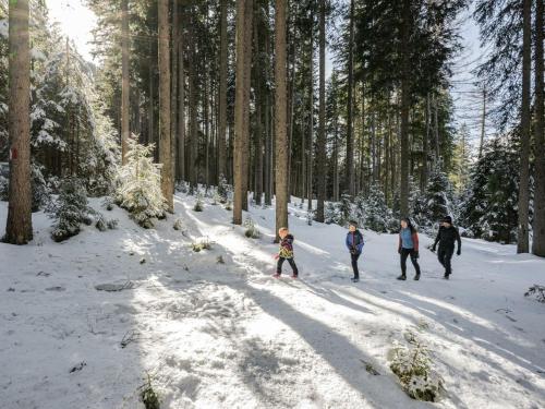 a group of people walking through a snow covered forest at Hotel Brötz in Rasùn di Sotto