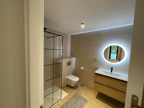 a bathroom with a toilet and a sink and a mirror at La avellaneda in Arenas de San Pedro