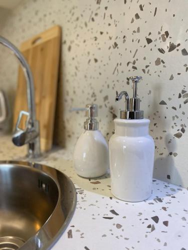 un comptoir de cuisine avec un évier et deux distributeurs de savon dans l'établissement L'Écrin de Jaude - Duplex by PRIM0 C0NCIERGERIE, à Clermont-Ferrand