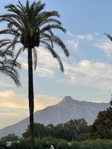 Urb. La Alcazaba, Puerto Banus / Marbella photo 22