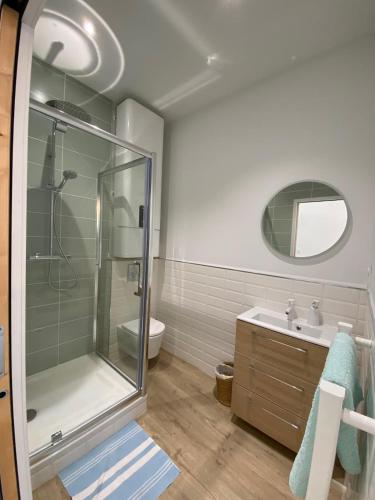 une salle de bain avec douche et lavabo dans l'établissement Studio proche centre et plages, à Plouharnel