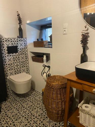 a bathroom with a toilet and a sink at Magnusowe Siedlisko in Budy Chojnackie