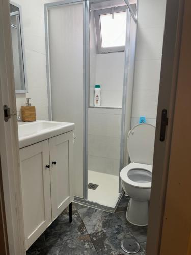 Un baño con inodoro, lavabo y ducha. en Oporto 26, en Madrid