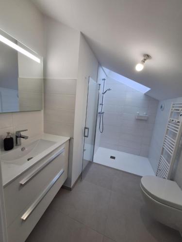 Un baño con ducha, lavabo e inodoro. en Studio 2 rénové balcon garage, en Burdeos