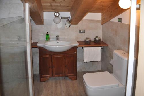 a bathroom with a sink and a toilet at Meraviglioso Loft con vista sulle Dolomiti in Colle Santa Lucia