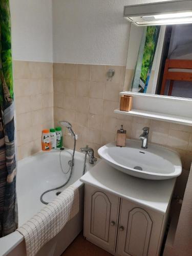 La salle de bains est pourvue d'un lavabo et d'une baignoire avec un miroir. dans l'établissement Appartement MANA, à Bernex