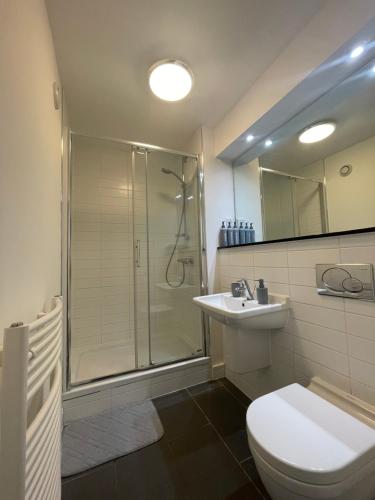 a bathroom with a shower and a toilet and a sink at City Centre flat with Balcony in Kent