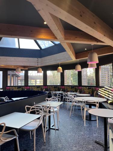 a dining room with tables and chairs and windows at Le Bois Dormant-Hôtel Restaurant & Spa Logis Hôtel in Champagnole