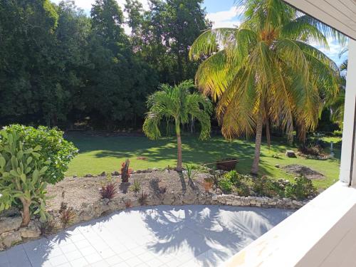 a garden with palm trees and a swimming pool at L'ASETA Paradise in Grand-Bourg