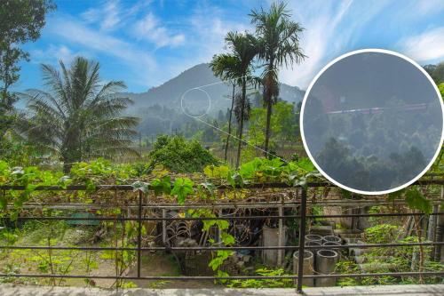 a mirror on a fence with plants and palm trees at ALP Tourist Guest House in Ella