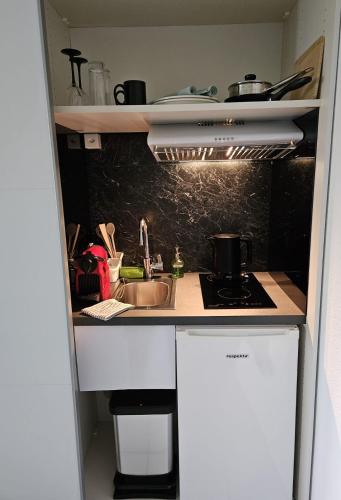 a kitchen with a sink and a stove at Villa Ysara, Pool Villa with lake Lucerne View in Lucerne