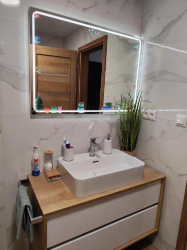 Koupelna v ubytování Útulný Apartmán Katka Rajecké Teplice