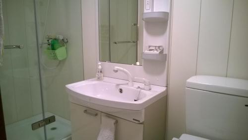 a bathroom with a sink and a toilet and a mirror at Chalet Myoko in Myoko