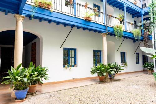 Tourist House Vidrio