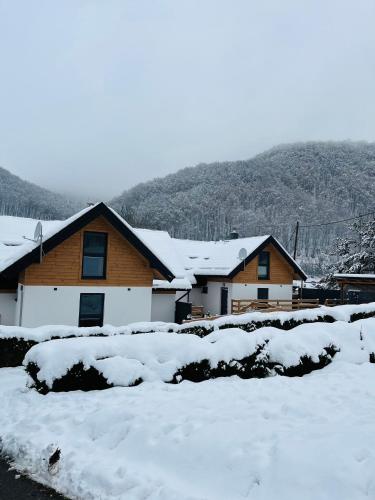 a group of houses covered in snow at CHALETY MÝTO POD ĎUMBIEROM in Mýto pod Ďumbierom