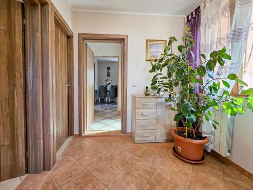 a hallway with a dresser and a potted plant at Stefi 1 in Crveni Vrh