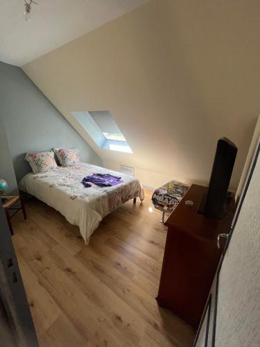 a bedroom with a bed and a television in it at Ti Laouen in Ambon
