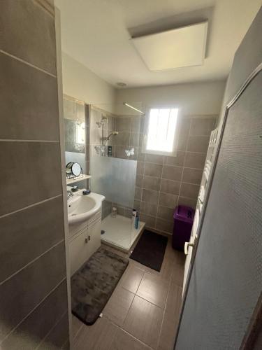 a bathroom with a shower and a sink and a toilet at Ti Laouen in Ambon