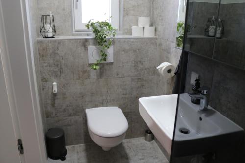 a bathroom with a white toilet and a sink at LUX PENTHOUSE Klopeiner See Apartment Ferienwohnung FeWo in Sankt Kanzian