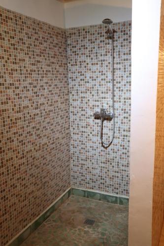 a bathroom with a shower with a sink at Riad Beldi by MaHa in Oulad Teima