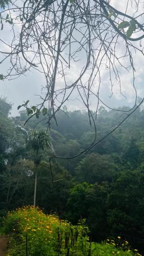 Un paisaje natural cerca de la casa vacacional
