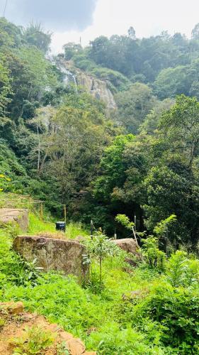 Un paisaje natural cerca de la casa vacacional