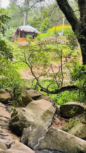 Un paisaje natural cerca de la casa vacacional