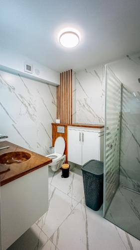 a bathroom with a toilet and a glass shower at Apartament spațios cu magazin si bus in Baciu