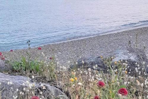 Φυσικό τοπίο κοντά σε αυτό το διαμέρισμα