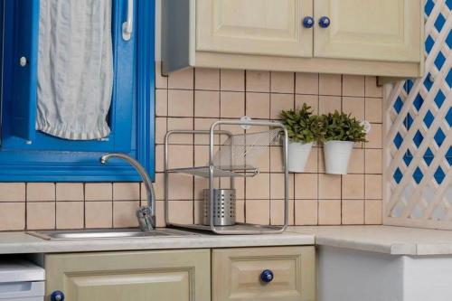 a kitchen counter with a sink and two potted plants at Blue Meadow in Livadi Astypalaias