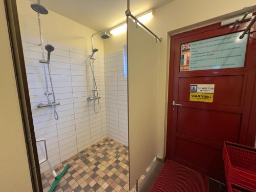 a bathroom with a shower and a door at Laugarfell Accommodation & Hot Springs in Laugarfell