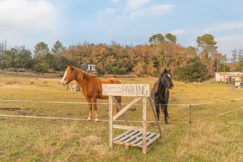 two horses standing next to a sign in a field at La Cabane aux Chevaux in Varages