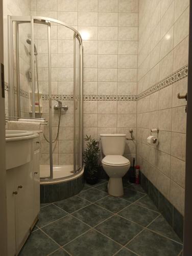 a bathroom with a toilet and a shower and a sink at Dom blisko lotniska i Areny Tarczyńskiego in Wrocław