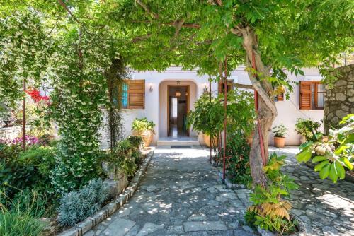 Zahrada ubytování Villa Vavilla