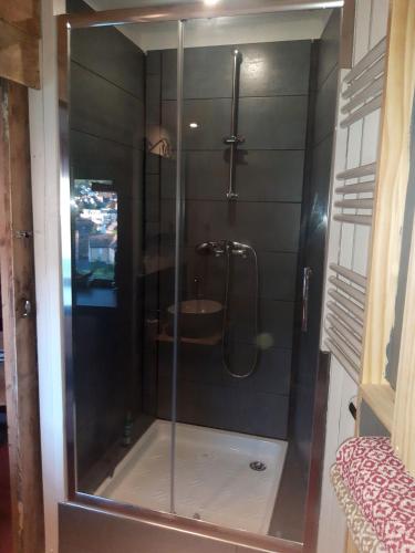 une douche avec une porte vitrée dans une salle de bain dans l'établissement Studio avec jardin et parking proche du centre, à Mende