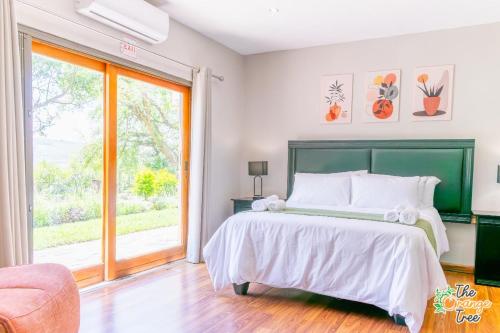 a bedroom with a bed and a large window at The Orange Tree Guest House in Nelspruit