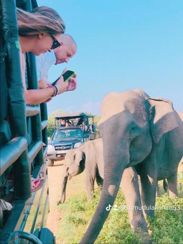 a couple of people looking at an elephant and aelope at Nature World Udawalawe in Udawalawe