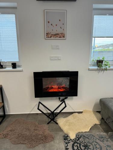 a living room with a flat screen tv on a wall at Balon Centrum penzion in Plav
