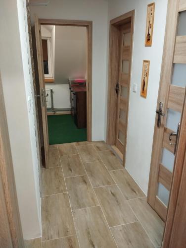 a hallway with a door leading into a room with a green floor at Ubytovani u Nadii in Železný Brod