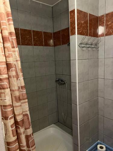 a bathroom with a shower with a bath tub at Penzion pod Vlekem Dolní Morava in Dolní Morava