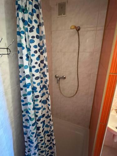 a shower with a blue and white shower curtain in a bathroom at Penzion pod Vlekem Dolní Morava in Dolní Morava