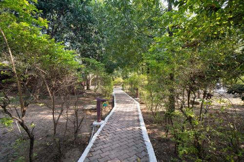 a path in the middle of a park with trees at Treebo Premium Mowgli's Den, Pench in Khawāsa