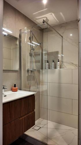 une salle de bain avec une douche en verre et un lavabo dans l'établissement Stella di VAROS, à Strasbourg
