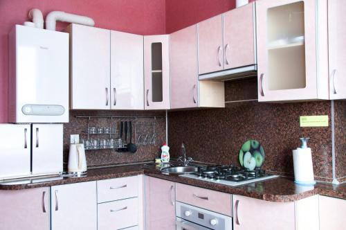 Кухня или мини-кухня в Inndays Apartments on Demonstratsii
