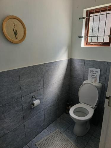 a bathroom with a toilet and a roll of toilet paper at Milkwood Beach House in Seafield